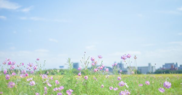 広大地評価を適用した場合の相続税の計算式